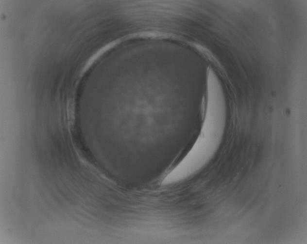 X0000081310484200702012338