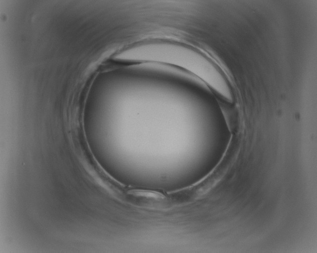 X0000081310485200702012338