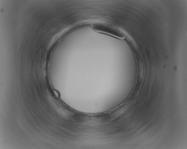 X0000081310486200702012338