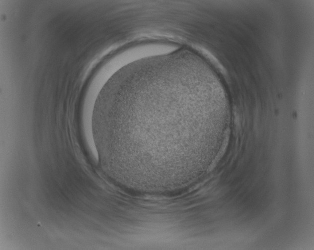 X0000081310487200702012338