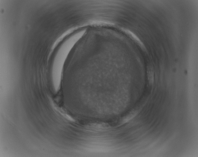 X0000081310488200702012338