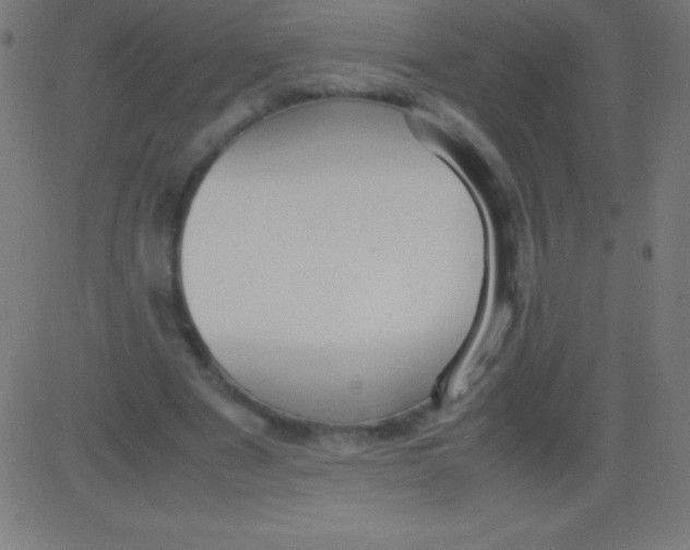 X0000081310489200702012338