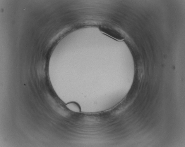 X0000081310490200702012338