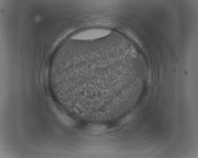 X0000081310491200702012338