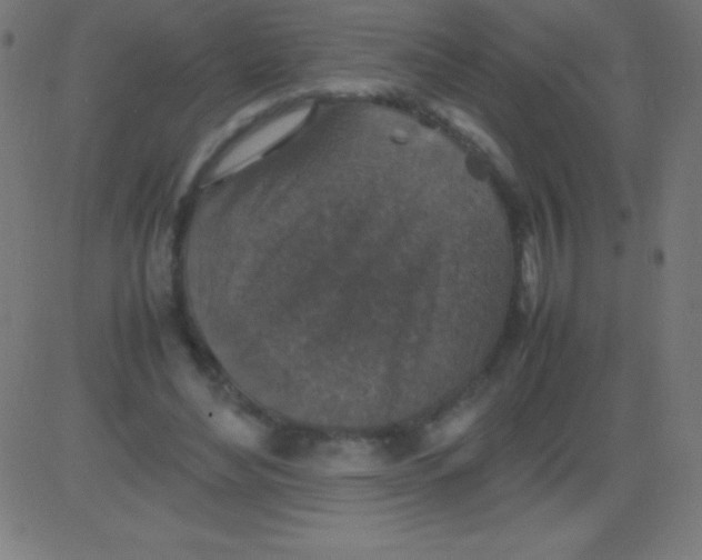 X0000081310492200702012338