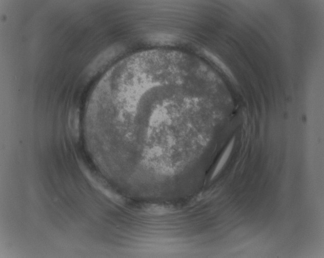 X0000081310494200702012338