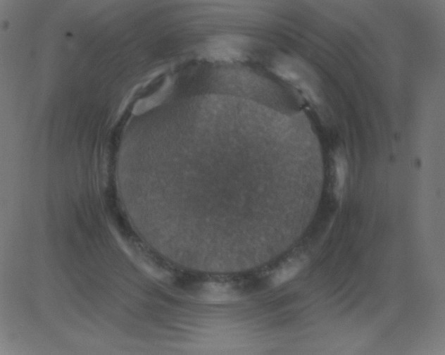 X0000081310496200702012338