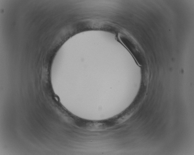 X0000081310497200702012338