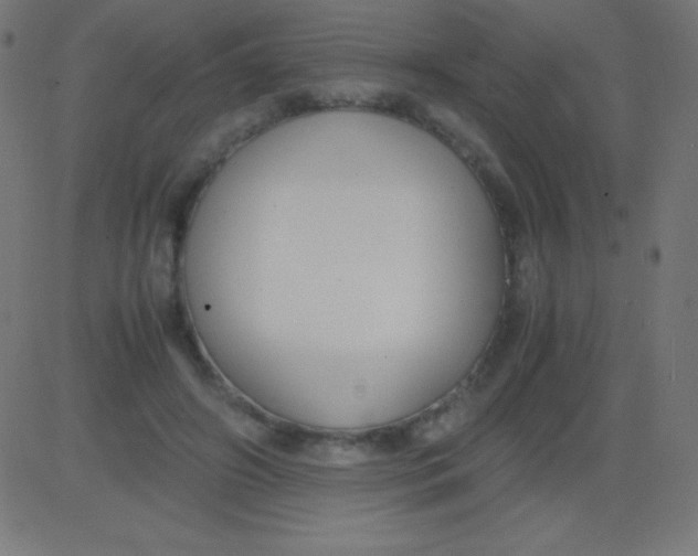 X0000081310498200702012338