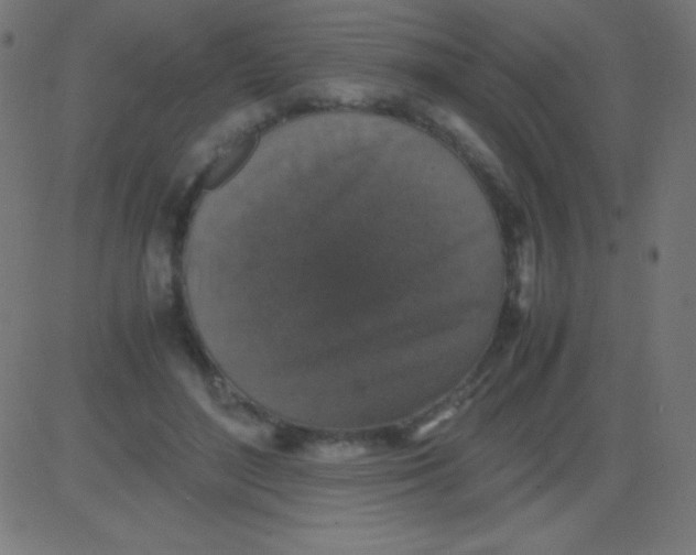 X0000081310500200702012338