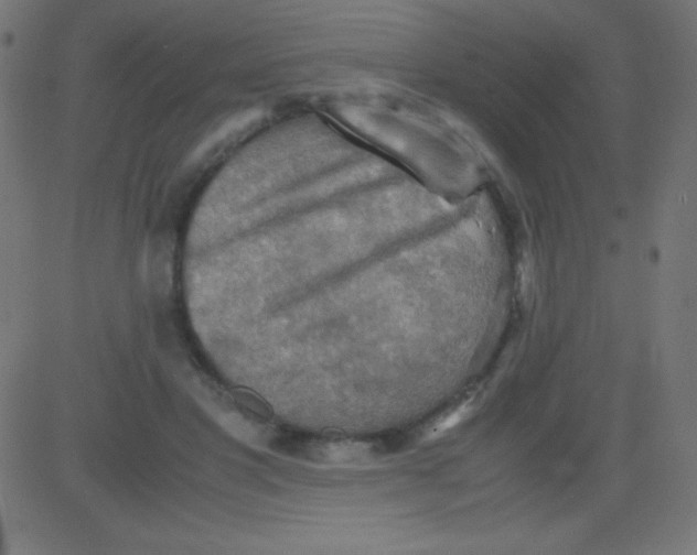 X0000081310501200702012338