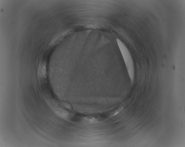 X0000081310502200702012338