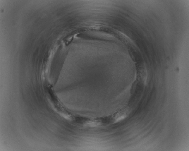 X0000081310504200702012338