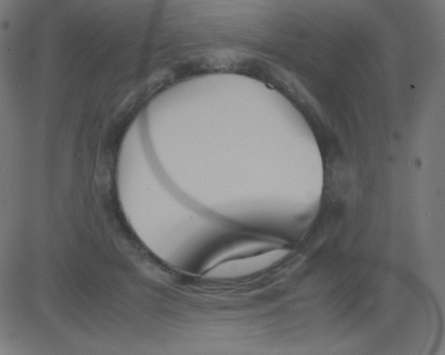 X0000081310505200702012338