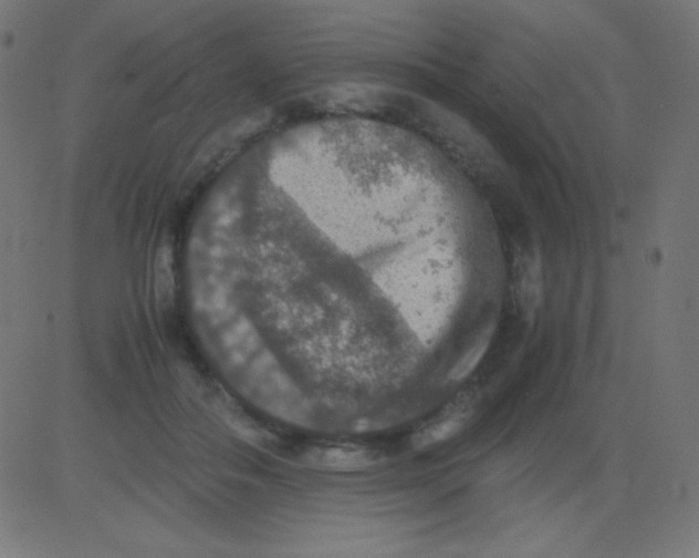 X0000081310506200702012338