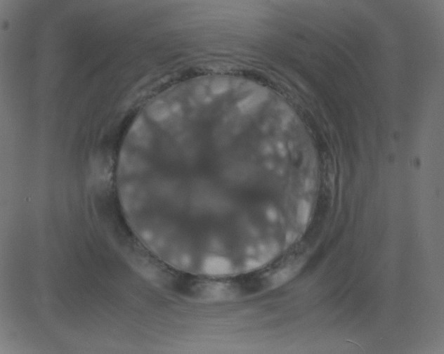 X0000081310507200702012338