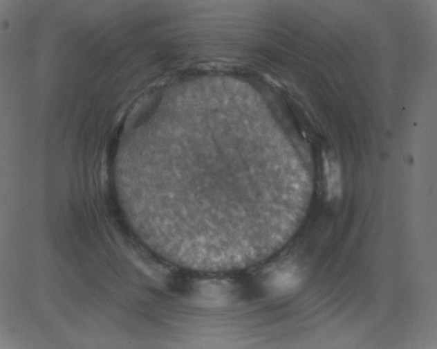 X0000081310508200702012338