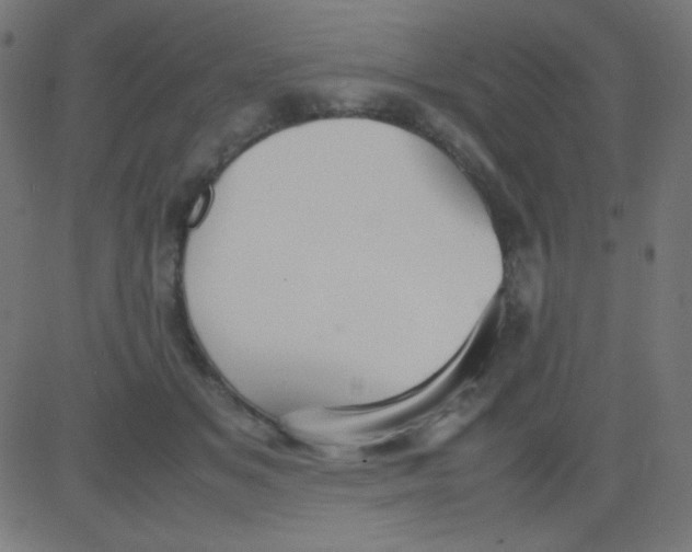 X0000081310509200702012338