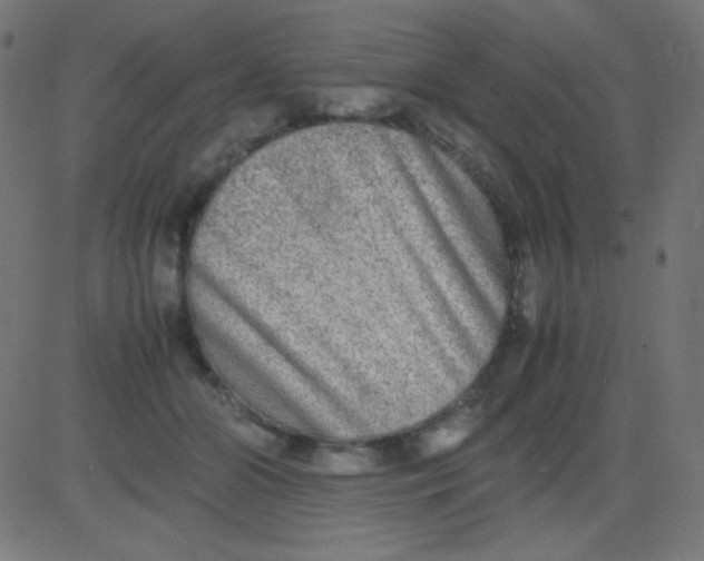 X0000081310510200702012338