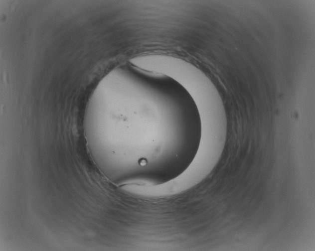 X0000081310512200702012337