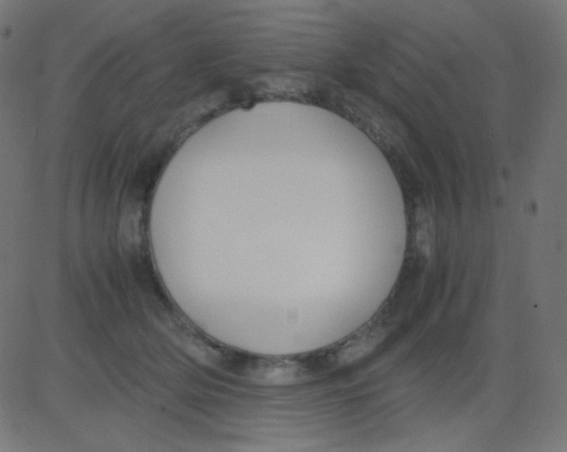 X0000081310514200702012337