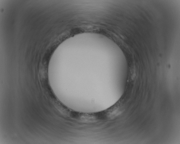 X0000081310515200702012337