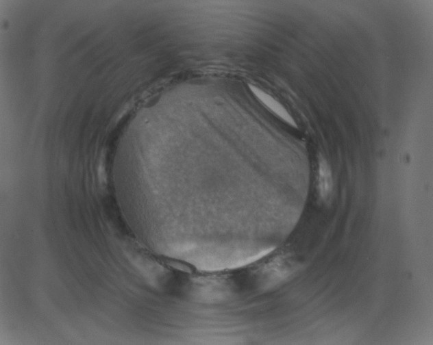 X0000081310516200702012337