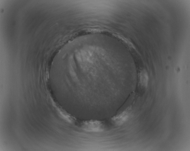 X0000081310517200702012337