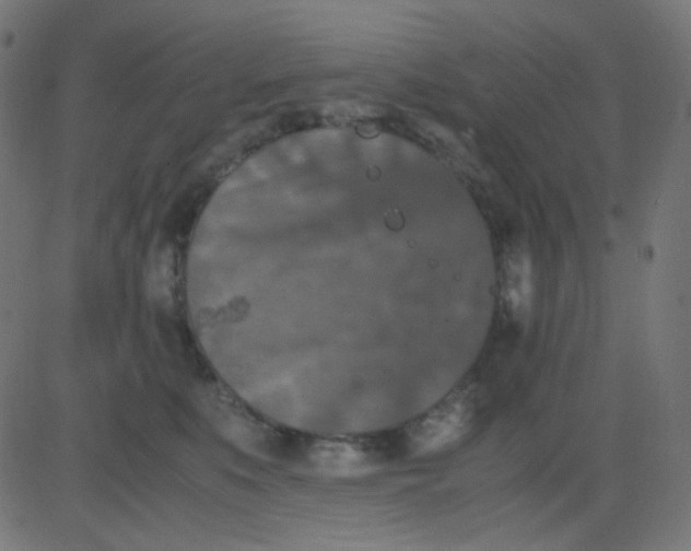 X0000081310519200702012337