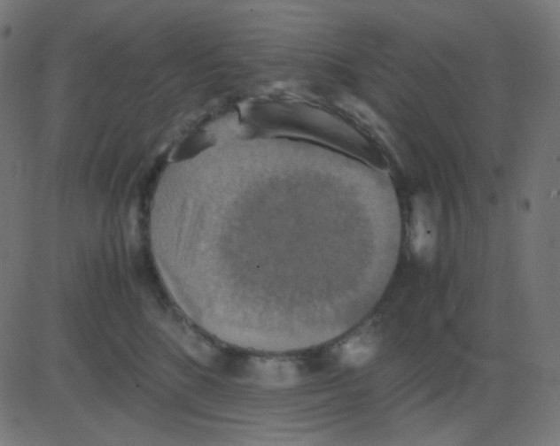 X0000081310520200702012337