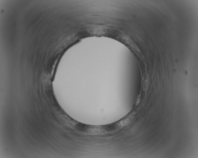 X0000081310521200702012337