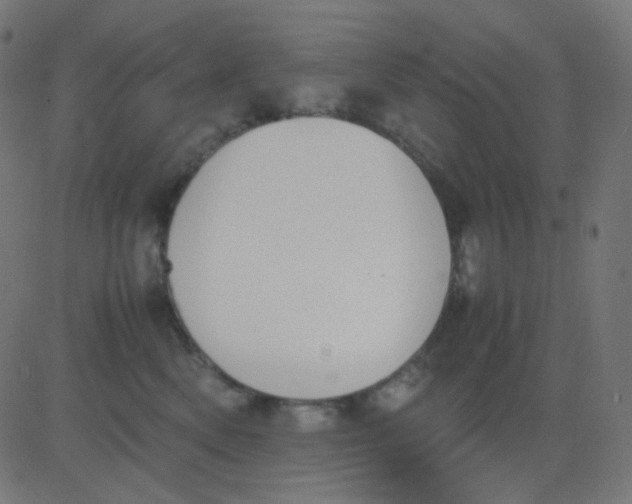 X0000081310522200702012337