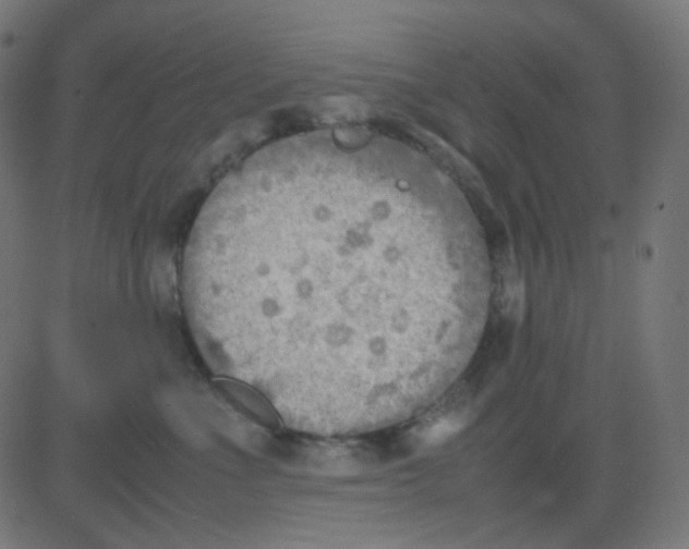 X0000081310523200702012337