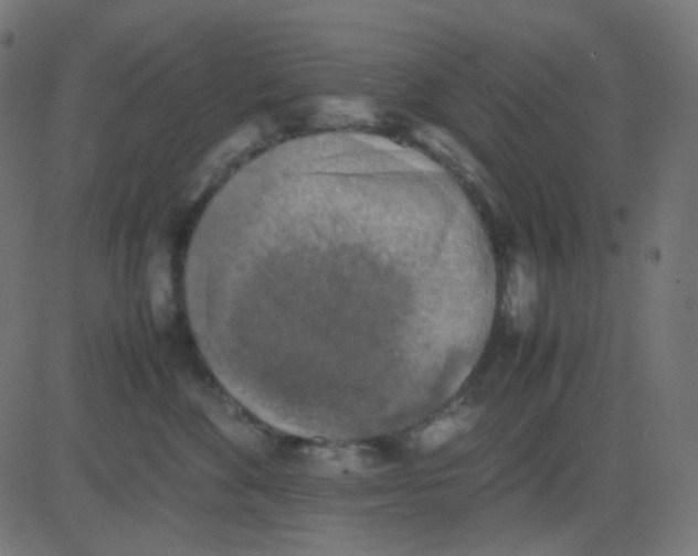 X0000081310524200702012337