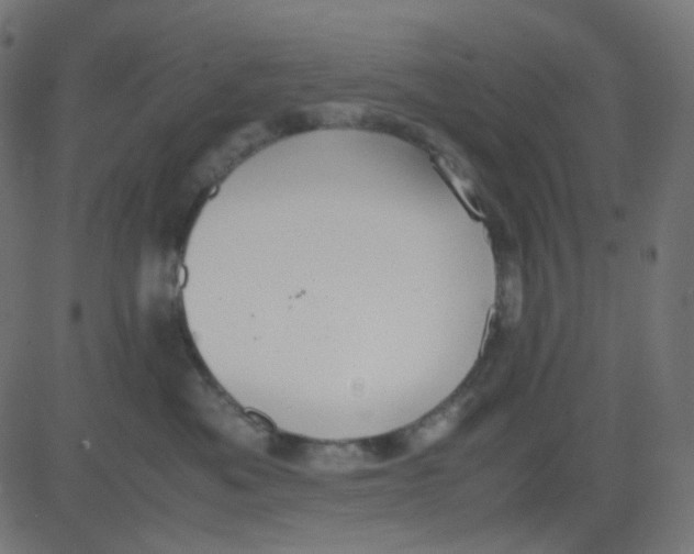 X0000081310525200702012337