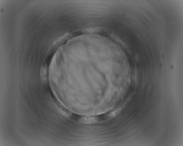 X0000081310526200702012337