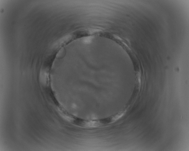 X0000081310527200702012337