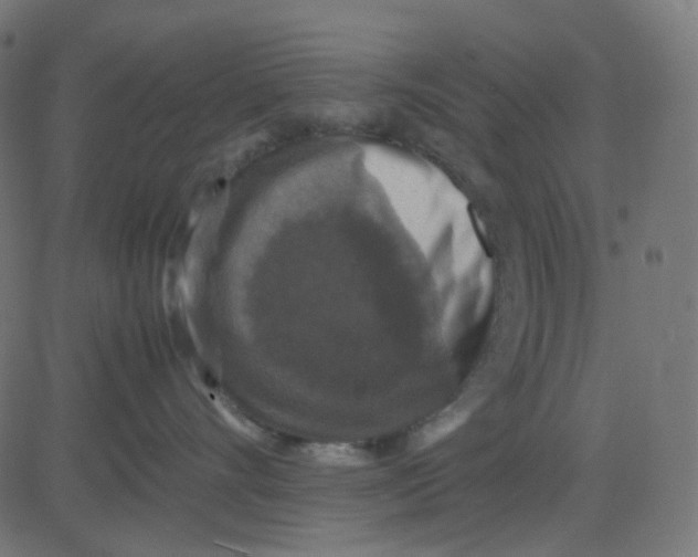 X0000081310528200702012337