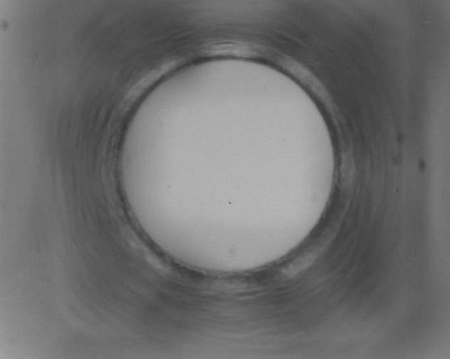 X0000081310529200702012336