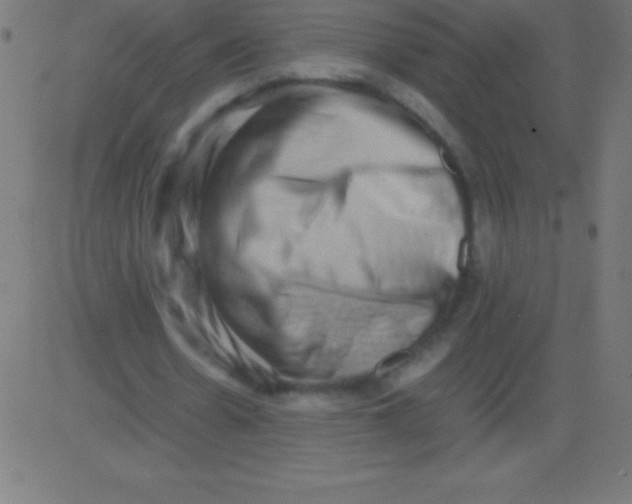 X0000081310530200702012336