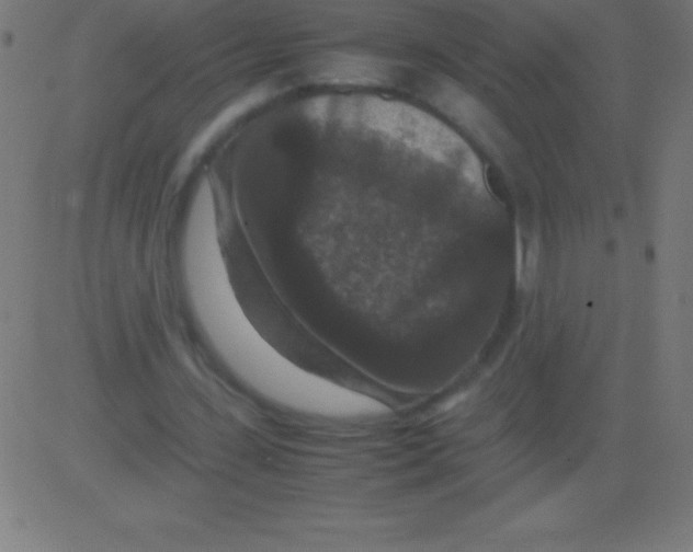 X0000081310531200702012336