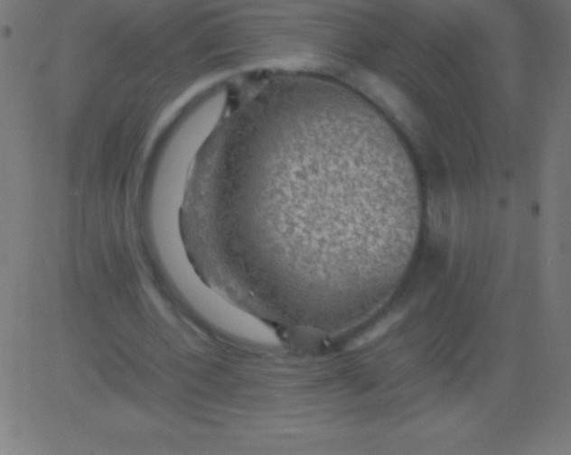 X0000081310532200702012337