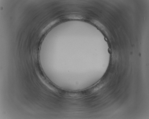 X0000081310533200702012337