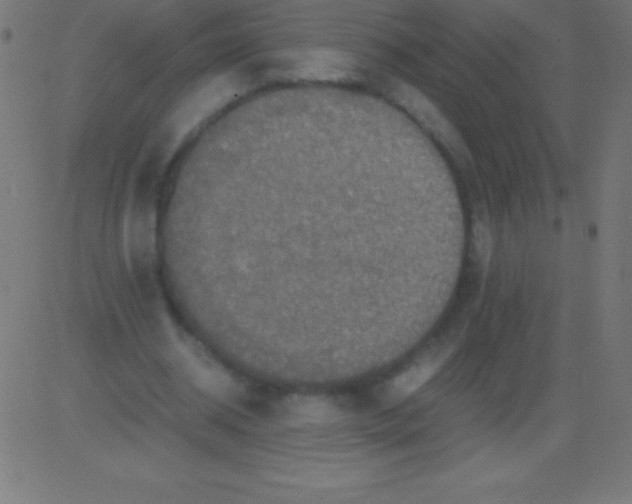 X0000081310534200702012337