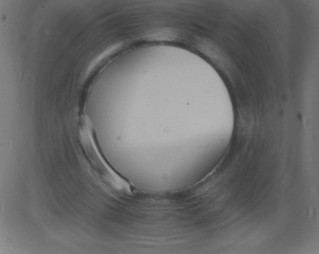 X0000081310535200702012337