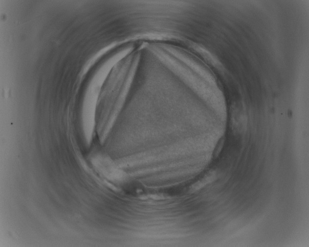 X0000081310536200702012337