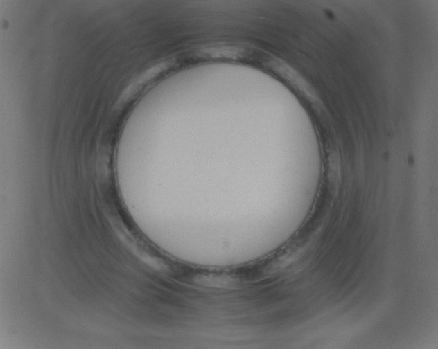 X0000081310537200702012337