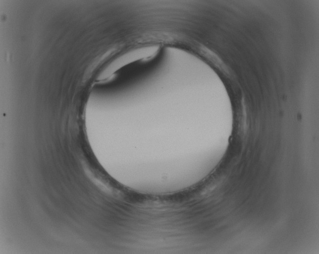 X0000081310538200702012337