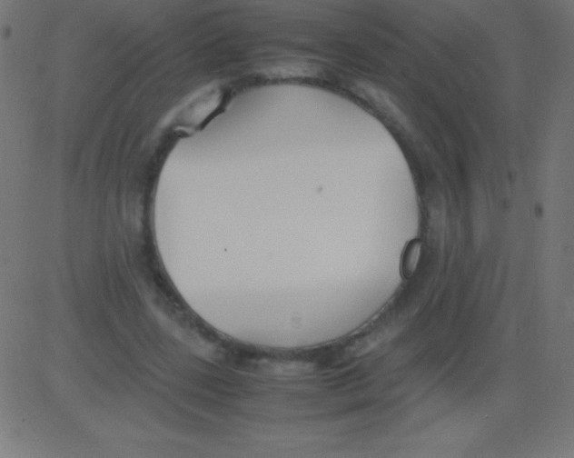 X0000081310539200702012337