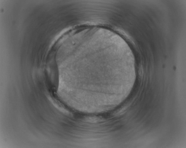 X0000081310540200702012337